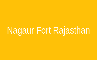 Nagaur Fort