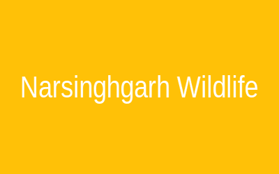 Narsinghgarh Wildlife Sanctuary