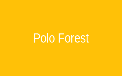 Polo Forest