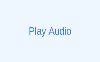 Step 3: Audit Playback