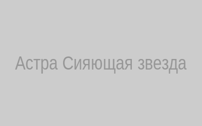 Астра сияющая звезда
