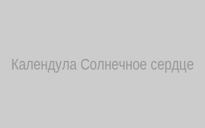 Календула солнечное сердце