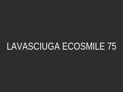 LAVASCIUGA ECOSMILE 75