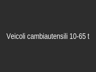 Veicoli cambiautensili 10-65 t