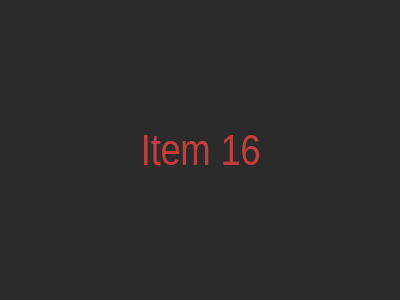 Item 16