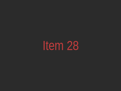 Item 28