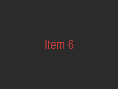Item 6