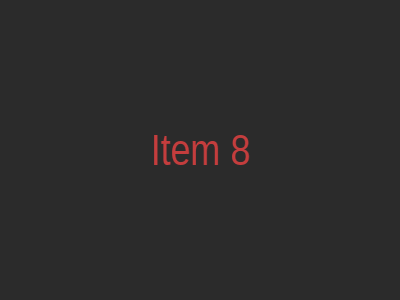 Item 8