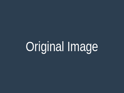 Original Image