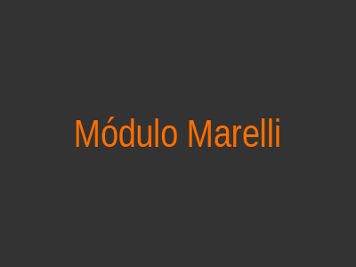 Módulo Marelli