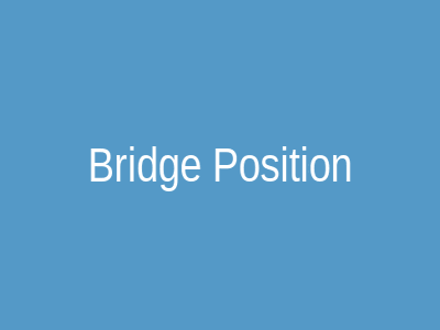 Bridge Position