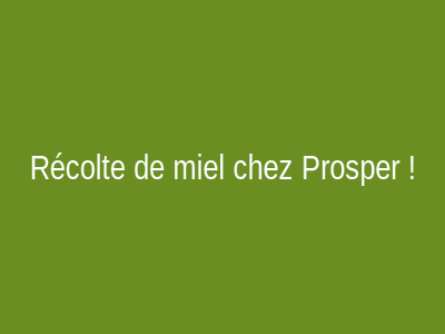Récolte de miel chez Prosper !
