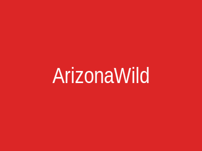 ArizonaWild
