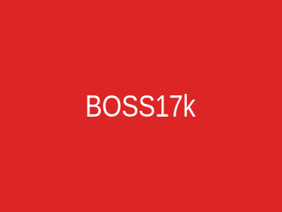 BOSS17k