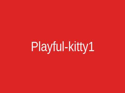 Playful-kitty1