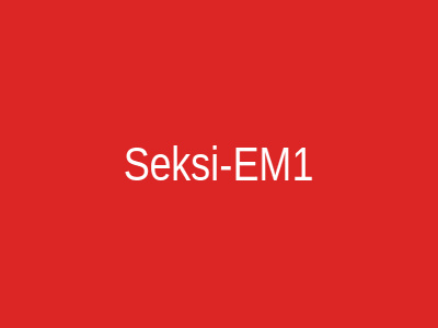 Seksi-EM1