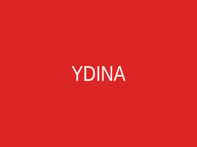 YDINA