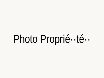 Photo de propriété