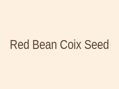 红豆薏米粥养生图片