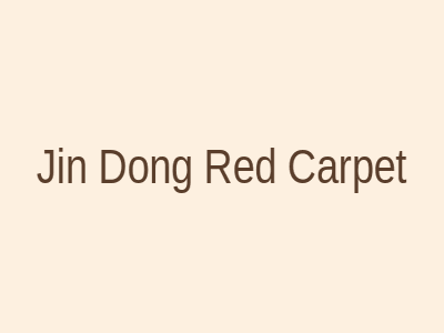 靳东红毯照片