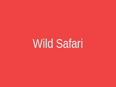 Wild Safari
