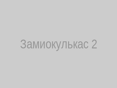 Замиокулькас 2