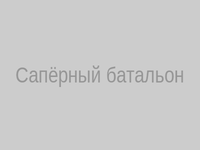 Сапёрный батальон
