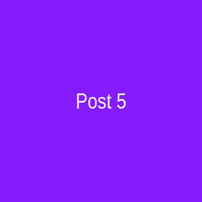 Instagram Post 5