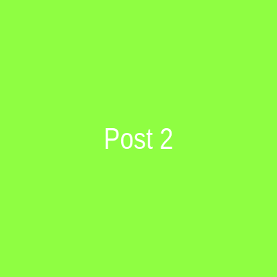 Instagram Post 2