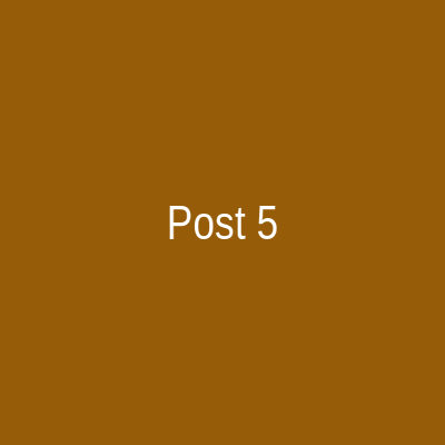 Instagram Post 5