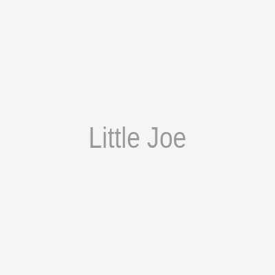 Little Joe Araç Kokusu - 45 Gün - Oto Kokusu Kalıcı Klima Parfüm - Vanilya