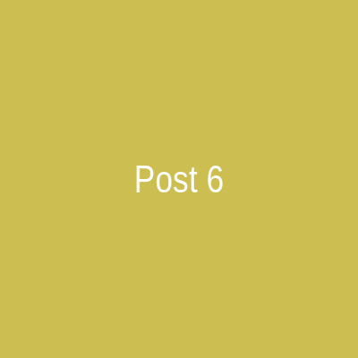 Instagram Post 6