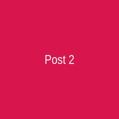 Instagram Post 2