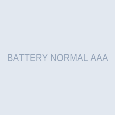 BATTERY NORMAL AAA