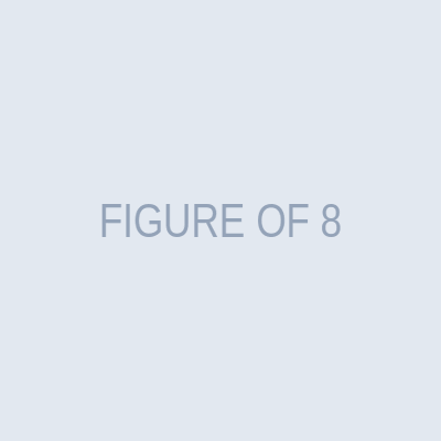 FIGURE OF 8