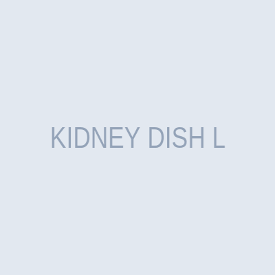 KIDNEY DISH L