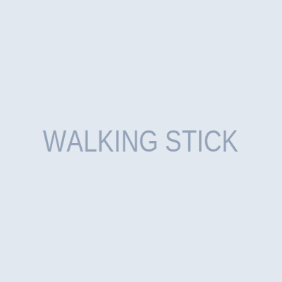 WALKING STICK