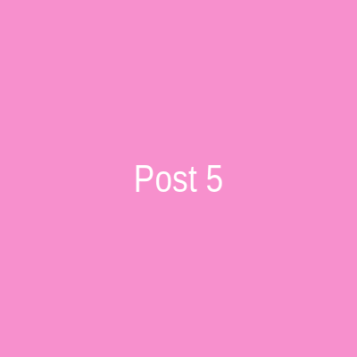 Instagram Post 5