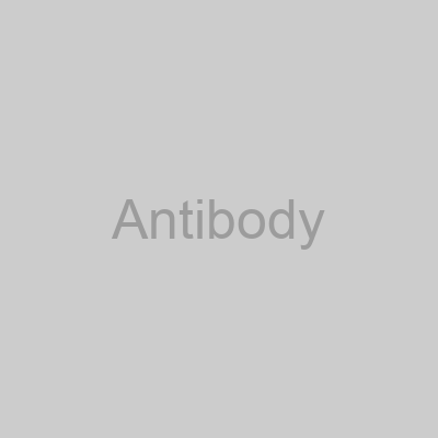 Antibody