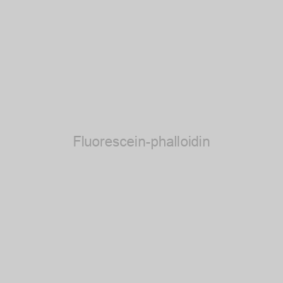Fluorescein-phalloidin