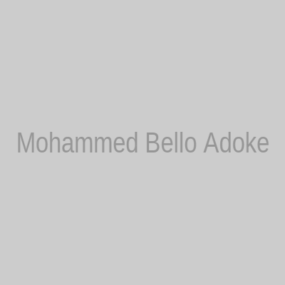 Mohammed Bello Adoke, SAN