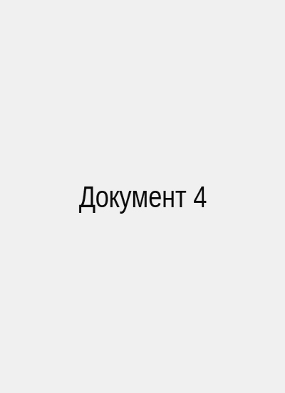 Дополнительный документ