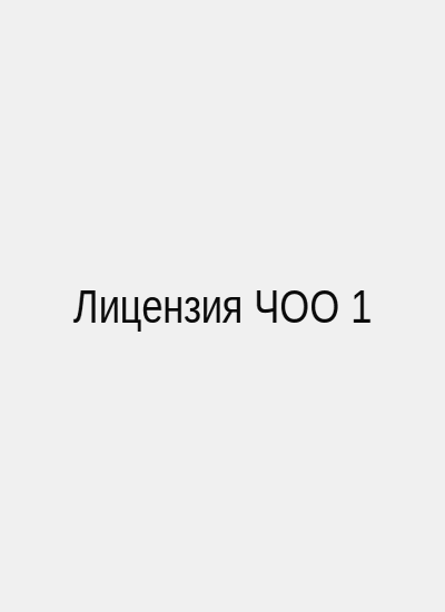 Лицензия ЧОО