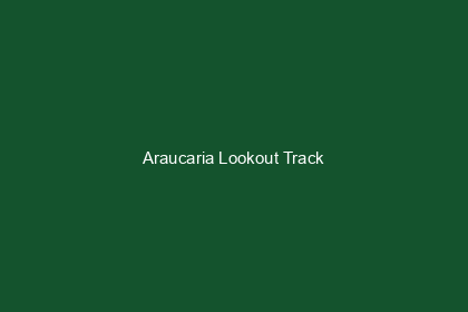 Araucaria Lookout Track