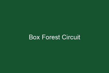 Box Forest Circuit