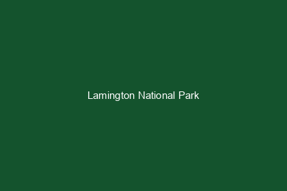 Lamington National Park