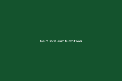 Mount Beerburrum Summit Walk