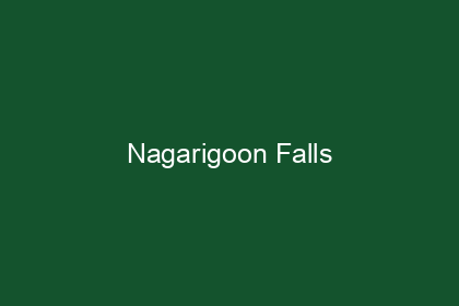 Nagarigoon Falls