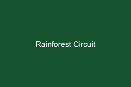 Rainforest Circuit