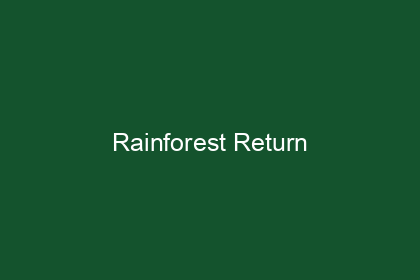 Rainforest Return